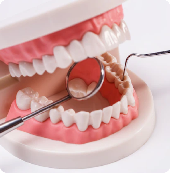 Venegas Dental Clinic
